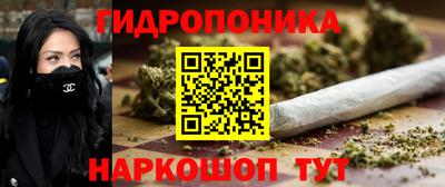 гидра Гусев