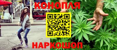 гидра Гусев