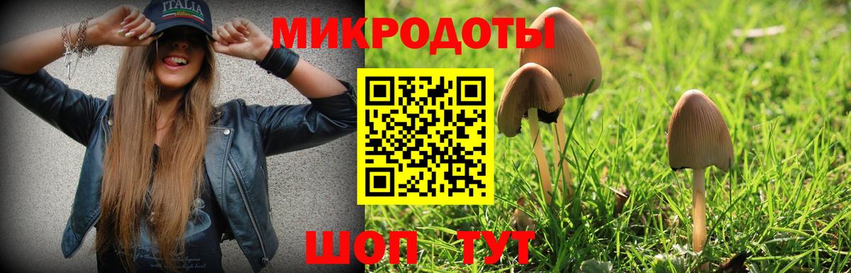 Галлюциногенные грибы Psilocybe  Галлюциногенные грибы GOLDEN TEACHER  Вход с VPN  Назрань 