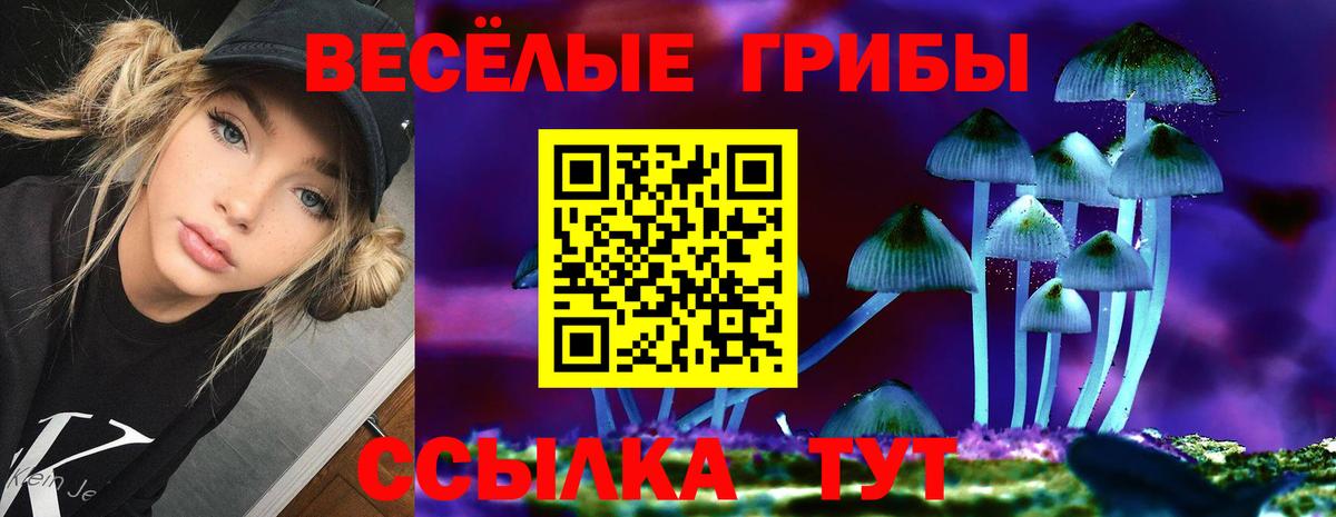 Галлюциногенные грибы Psilocybe Назрань